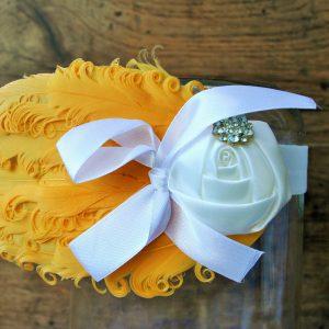 tollas fejdisz sarga