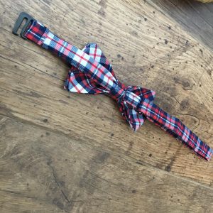 Csokornyakkendő kockás